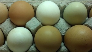 Eggs: A Healthy Food with a Bad Rap